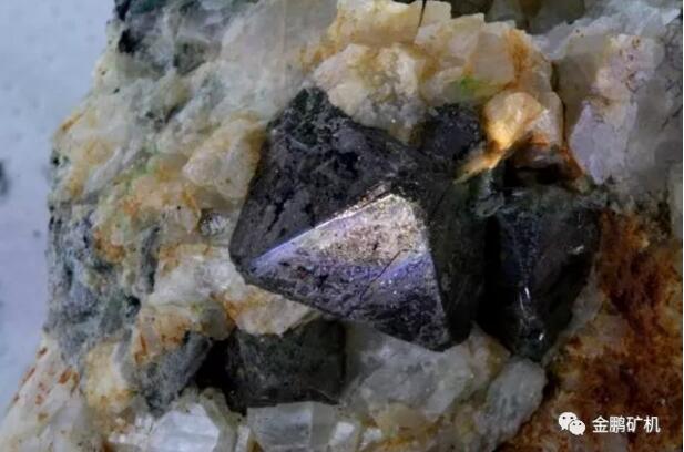 1526872596441063.jpg 5.jpg